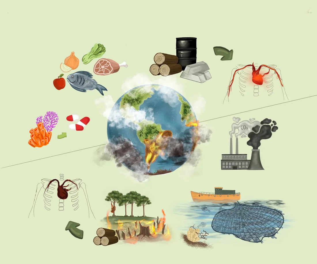 Why Sustainable Living Matters: Protecting Nature, Animals & Ourselves